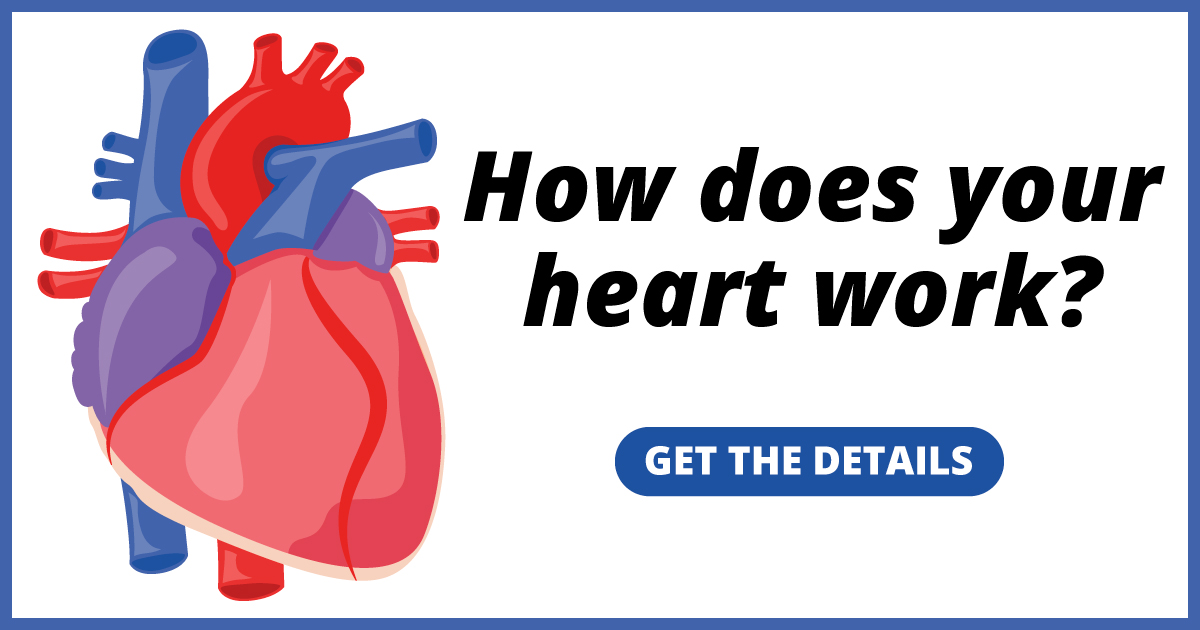 How does your heart work? Get the details
